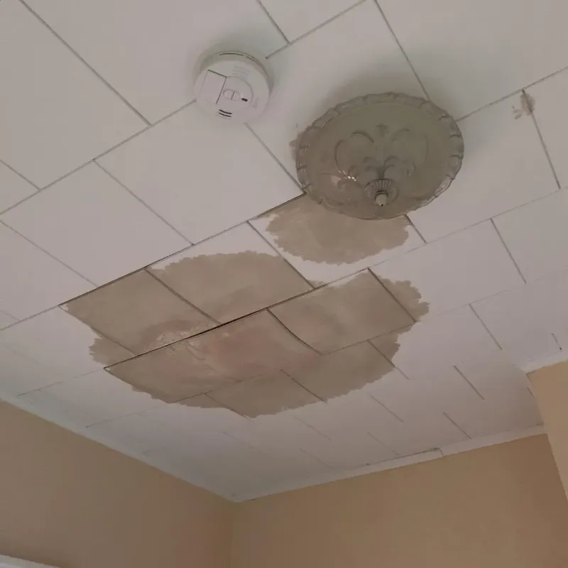 Ceiling Water Damage Repair in Schenectady County, NY