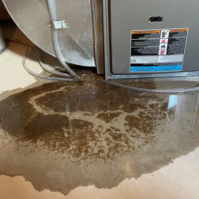 Pipe Burst and Leak Restoration in Schenectady County, NY