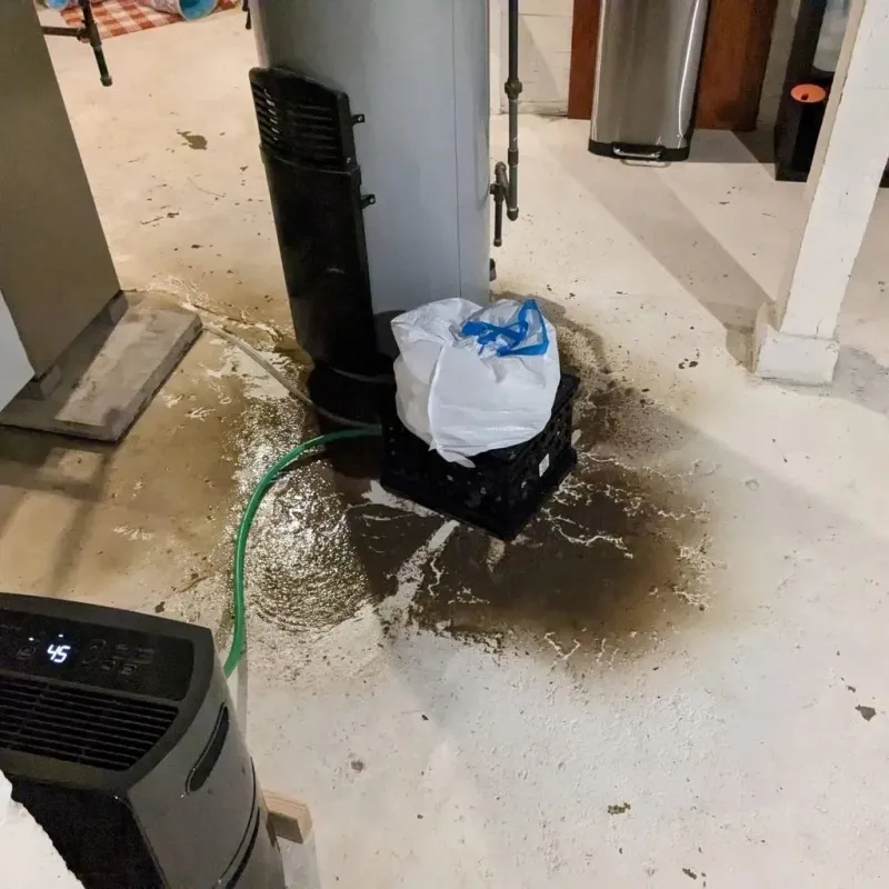 Sewage Backup Cleanup Service in Schenectady County, NY